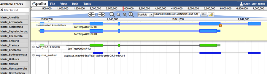 Create an isoform in Apollo